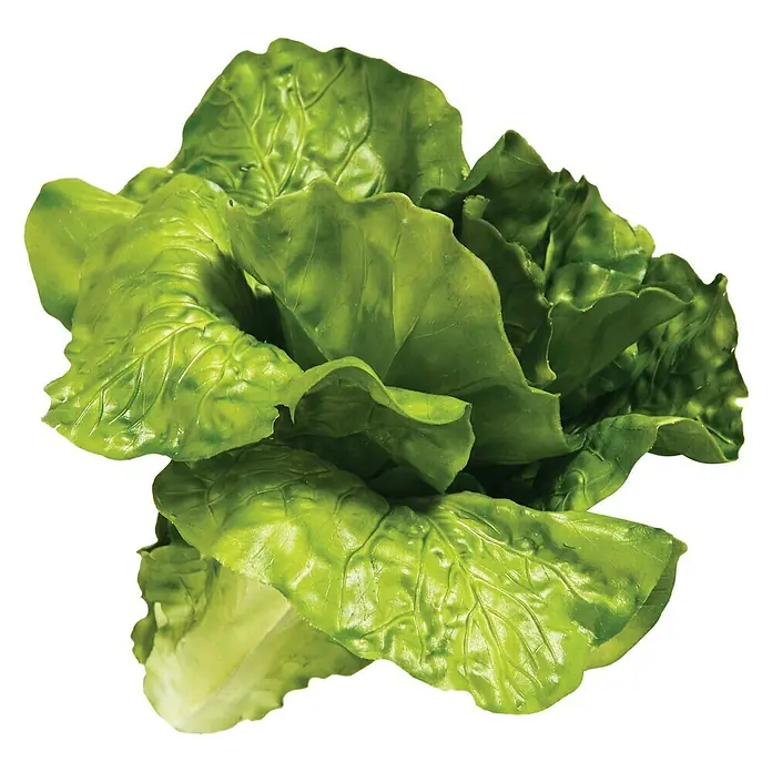 Figura decorativa Lechuga - L x An x Al: 14 x 14 x 16 cm, Plástico