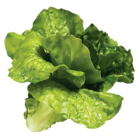 Figura decorativa Lechuga