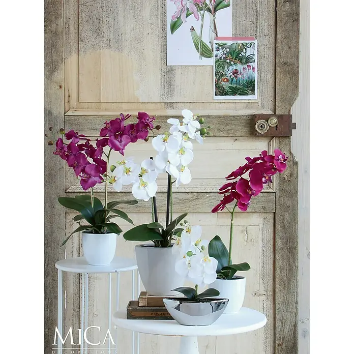 Planta artificial Orquídea - Altura: 60 cm, Crema, Plástico