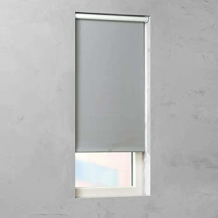 Expo Ambiente Springrollo - B x H: 60 x 190 cm, Grau - Vorderansicht