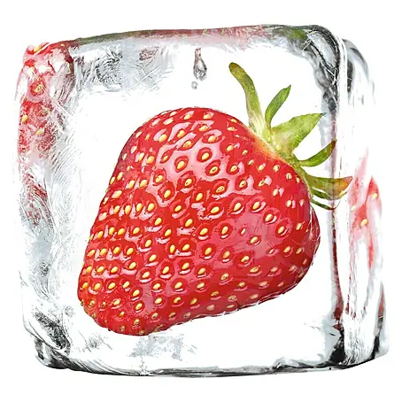 Protector de pared de cocina Deco 521