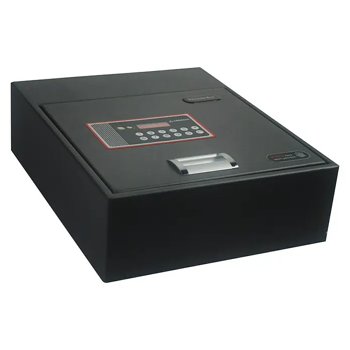 Arregui Caja fuerte Basa 20000-S7 - 38 x 31 x 11 cm, Cerradura de combinación electrónica
