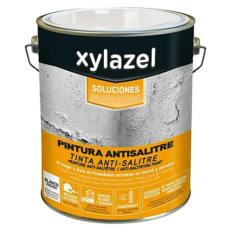 Xylazel  Pintura Antisalitre