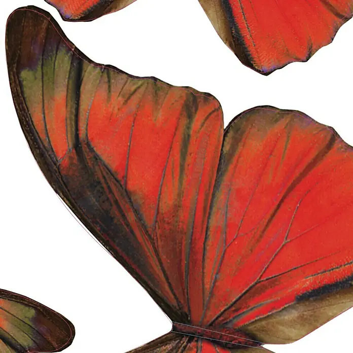 Adhesivos decorativos 3D Mariposas - Mariposa, Rojo