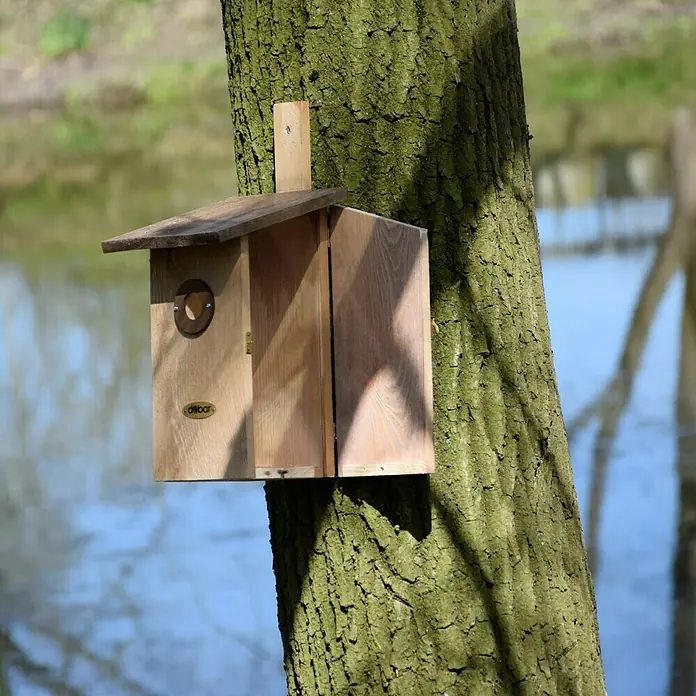 Dobar Nistkasten Einblick - Natur/Braun, 17 x 23 x 39 cm - Stimmungsaufnahme