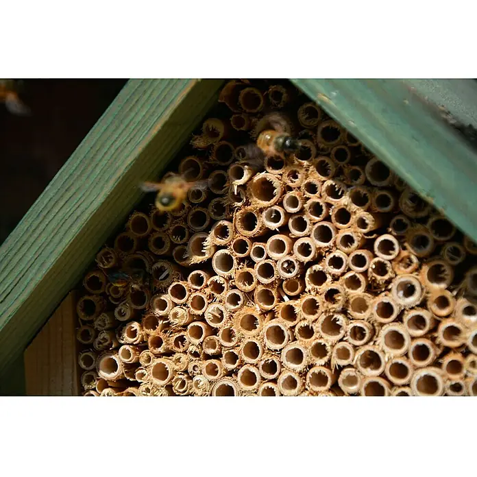 Dobar Bienenhaus Maja - Natur/Grün, 23 x 29 x 14 cm, 26 Nistplätze - Detailaufnahme