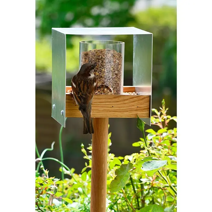 Dobar Vogelhaus Luxus Bauhaus 2 - 15 x 16 x 161 cm, Natur, Holz - Stimmungsaufnahme