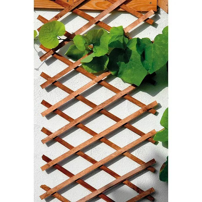 Bellissa Drvena mreža za biljke penjačice - 270 x 45 cm, Smeđe boje - Živopisni prikaz