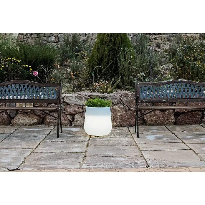 LED lončanica Camelia - Visina: 40 cm, Polietilen