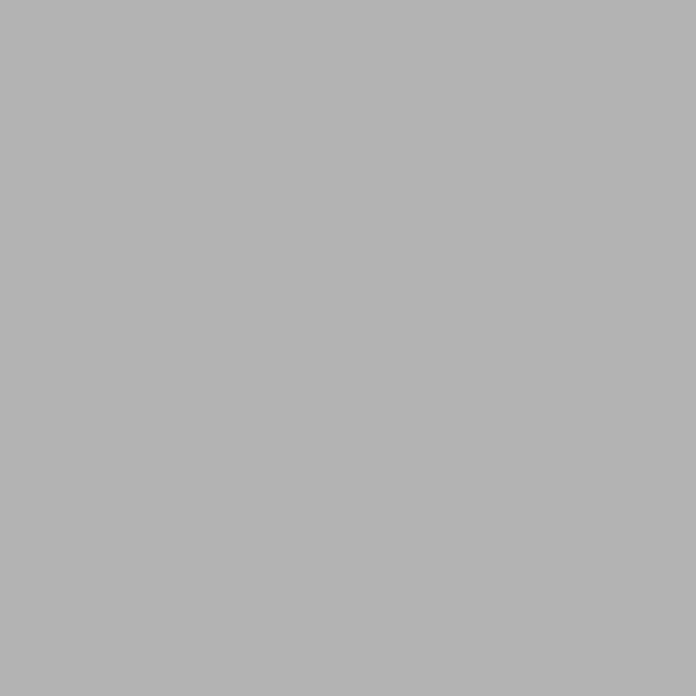 Feinsteinzeugfliese Vintage Basic Silver - 25 x 25 cm, Silber, Matt - Vorderansicht