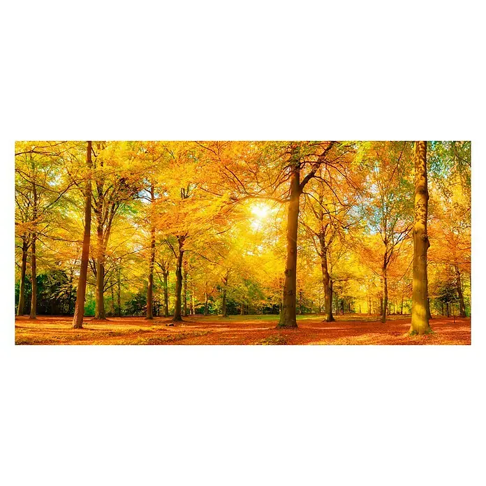 Cuadro de vidrio Otoño - Naturaleza otoñal, An x Al: 145 x 65 cm - Vista superior
