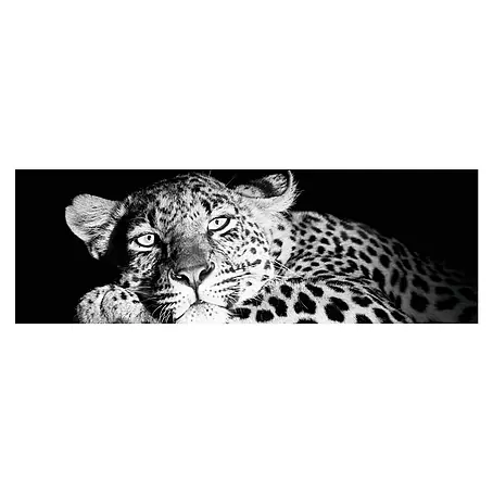 Póster Mirada leopardo