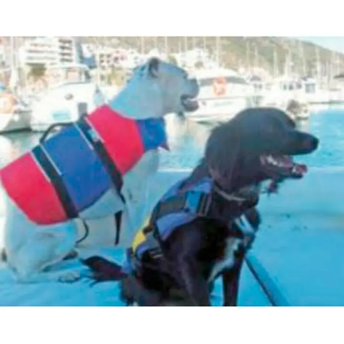 Chaleco de natación para mascotas - Apto para peso: 0 - 4 kg, Rojo