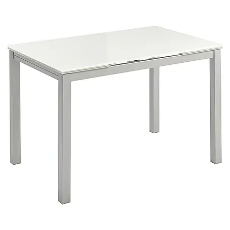 Mesa Karina