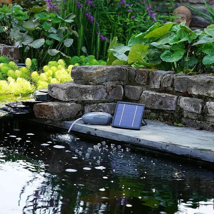 Ubbink Solar-Teichlüfter Airsolar outdoor - 1,5 W, Teichgröße: 1 m³ - Stimmungsaufnahme