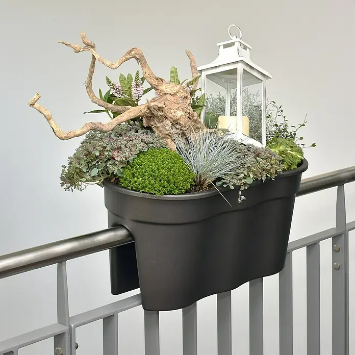 KHW Geländerkasten Flowerclip XL - Außenmaß (L x B x H): 57,5 x 27,7 x 27,5 cm, Kunststoff, Anthrazit - Stimmungsaufnahme