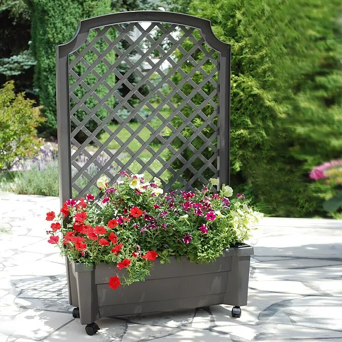 KHW Pflanzkasten Calypso - Außenmaß (L x B x H): 79 x 35 x 134 cm, Kunststoff, Anthrazit, Mit Rankgitter - Stimmungsaufnahme