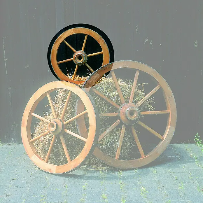 Promadino Wagenrad - Durchmesser: 50 cm - Stimmungsaufnahme