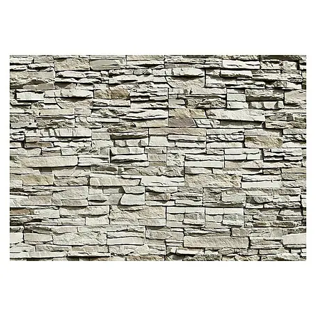 Fotomural The wall