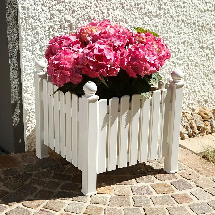 Blome Hohenzollern Pflanzkasten - Außenmaß (L x B x H): 48 x 48 x 48 cm, Kunststoff, Weiß - Stimmungsaufnahme