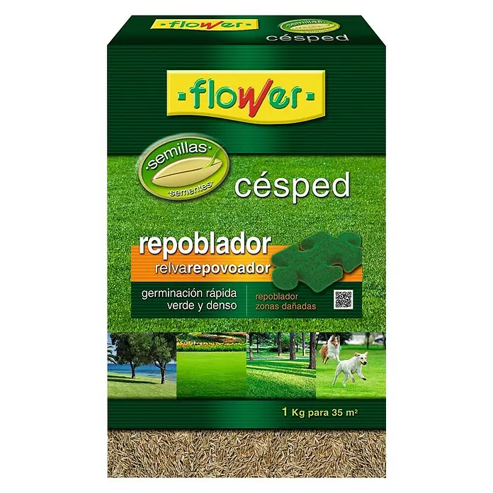 Flower Semillas de césped repoblador - 1 kg, 35 m²