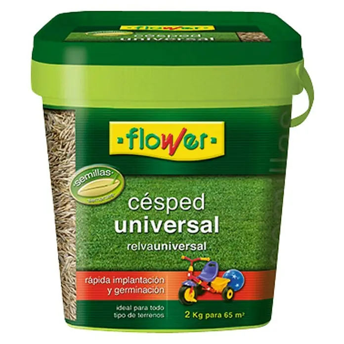 Flower Semillas de césped Universal - 2 kg, 65 m²