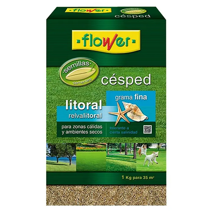 Flower Semillas de césped Litoral grama fina - 1 kg, 35 m²