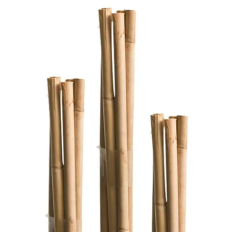 Windhager  Splittstab Tonkin