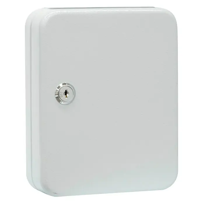 Arregui Armario para llaves PLL20 - L x An x Al: 5 x 16 x 20 cm, Gris