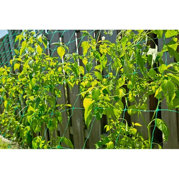 Windhager Rankhilfe - L x B: 2 x 5 m, Kunststoff, Grün
