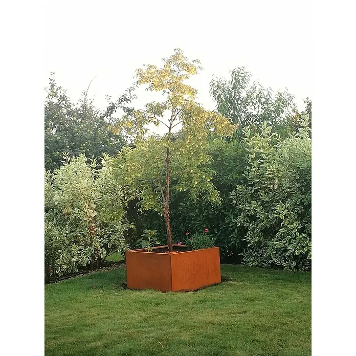 Palatino Exlusive Line Pflanzkübel eckig Clara - 100 x 100 x 50 cm, Cortenstahl, Rotbraun - Stimmungsaufnahme