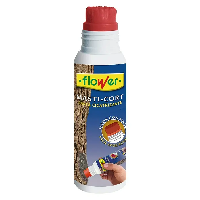 Flower Pasta cicatrizante Masti-Cort - 250 g