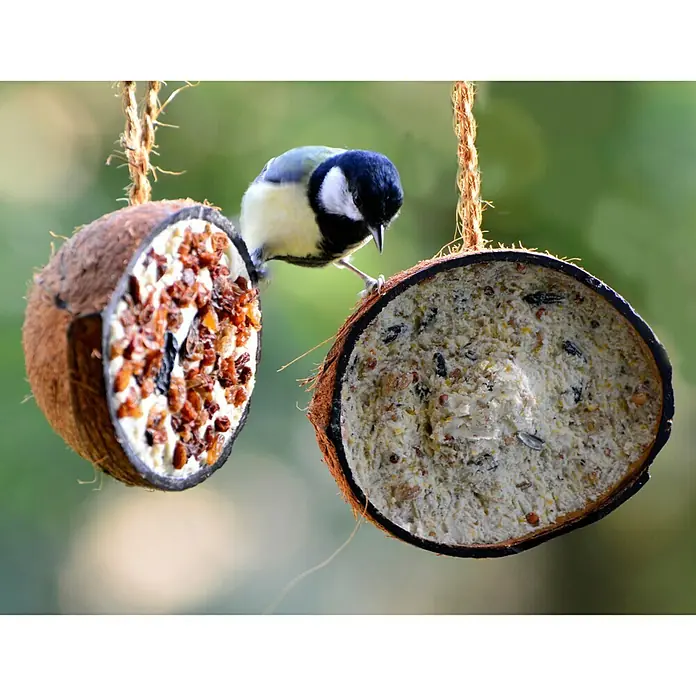 Dobar Wildvogelfutter Set - 10 Stk. - Stimmungsaufnahme