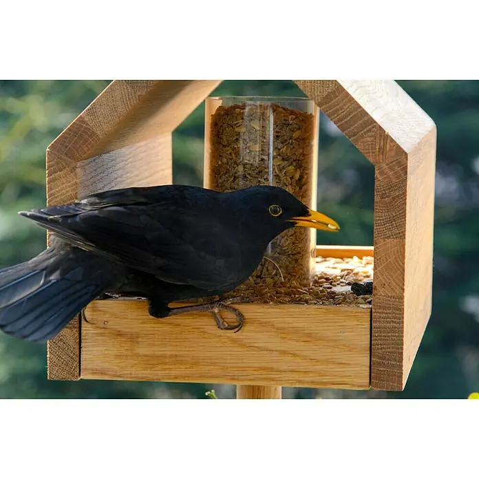Dobar Vogelhaus Luxus Bauhaus 1 - 20,5 x 28 x 23,5 cm, Natur, Holz - Stimmungsaufnahme