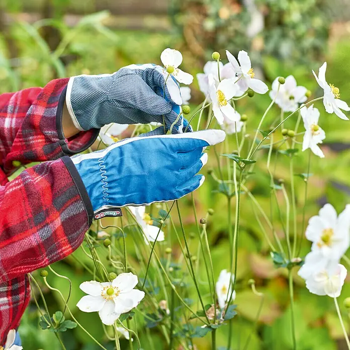 Gardol Vrtne rukavice Care - Konfekcijska veličina: 8, Plave boje
