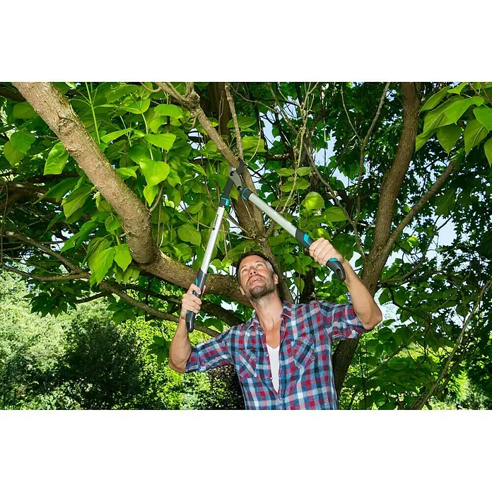 Gardena EnergyCut Astschere 750 B - Bypass, Max. Aststärke: 42 mm - Anwendungsbeispiel