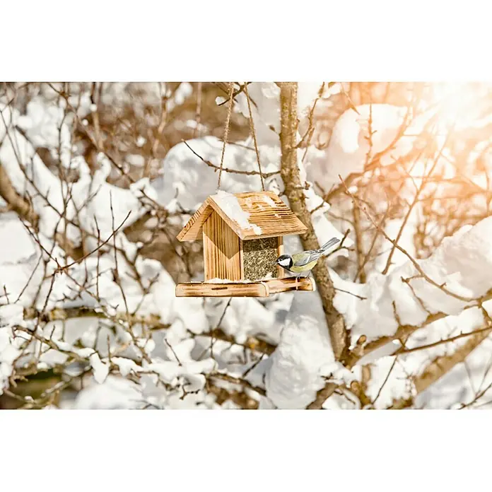 Windhager Vogelfutterhaus Garden - L x B x H: 22 x 19,5 x 20,5 cm, Natur, Geflammt, Holz