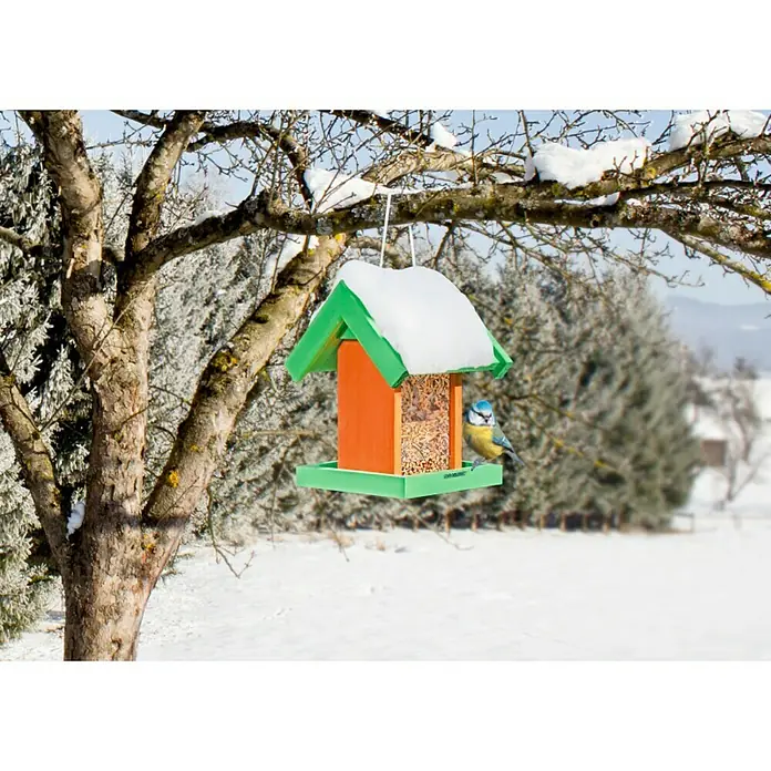 Windhager Vogelhaus Panorama - L x B x H: 19 x 19 x 24 cm, Grün/Orange, Lackiert, Holz