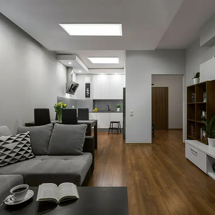 Eglo Panel LED Salobrena - 18 W, L x An x Al: 30 x 60 x 2 cm, Blanco - Foto ambiente