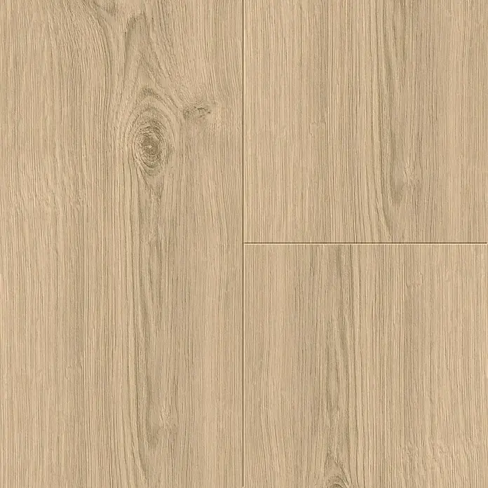 Living by Haro Laminat Eiche Salone Calgary Creme - 1.282 x 243 x 8 mm, Landhausdiele - Draufsicht