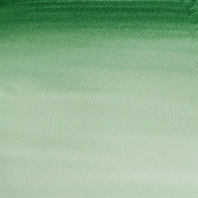 Winsor & Newton Cotman Aquarelverf - Hooker's Green Dark, Pot - Close-up