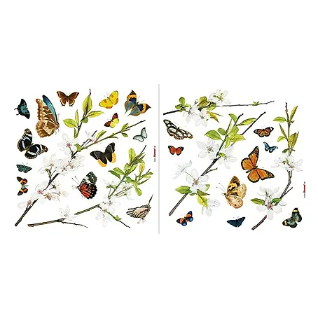 Komar  Fenstersticker