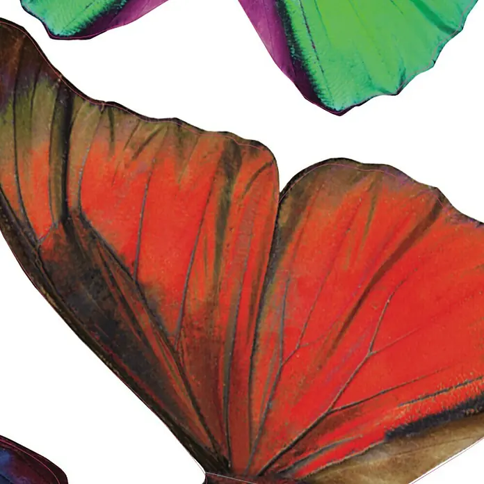 Adhesivos decorativos 3D Mariposa - Mariposas, Multicolor