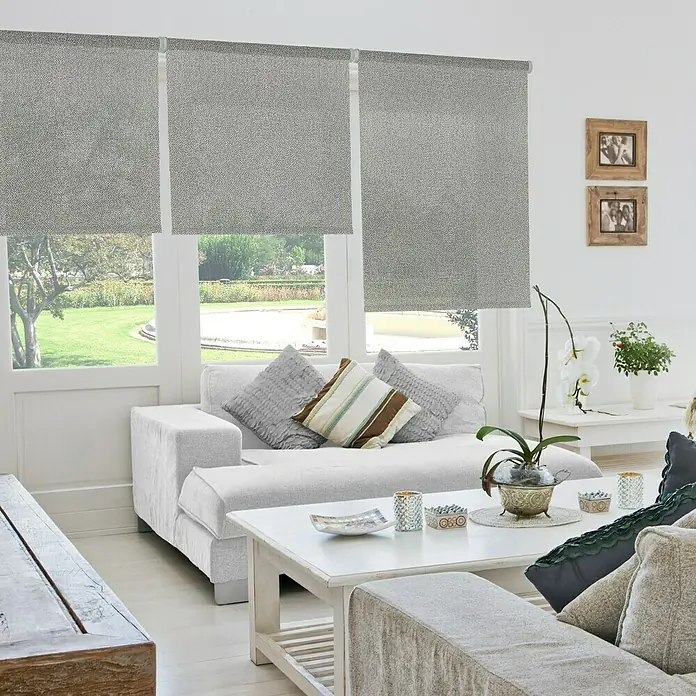 Viewtex Estor enrollable Crepe - An x Al: 90 x 250 cm, Gris