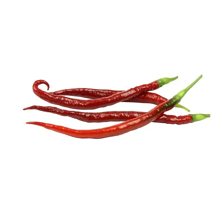 Piardino Chili Joe's Long - Capsicum anuum var. longum, 12 cm, Erntezeit: Juni - Oktober - Stimmungsaufnahme
