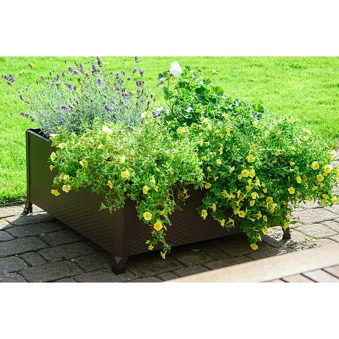 Dobar Pflanzkübel eckig - 80 x 80 x 36,8 cm, Stahl - Stimmungsaufnahme