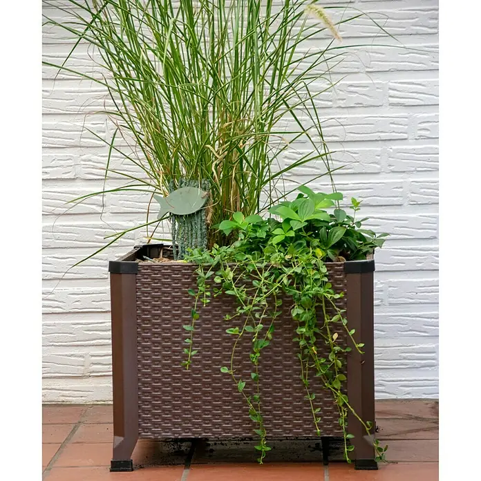 Dobar Pflanzkübel eckig - 45 x 45 x 36,8 cm, Stahl - Stimmungsaufnahme