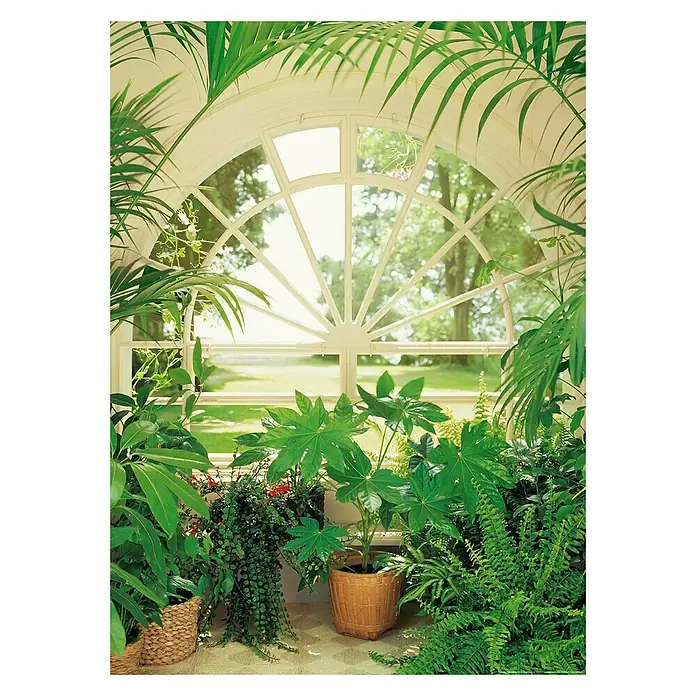 Fotomural Winter garden - An x Al: 183 x 254 cm, Papel