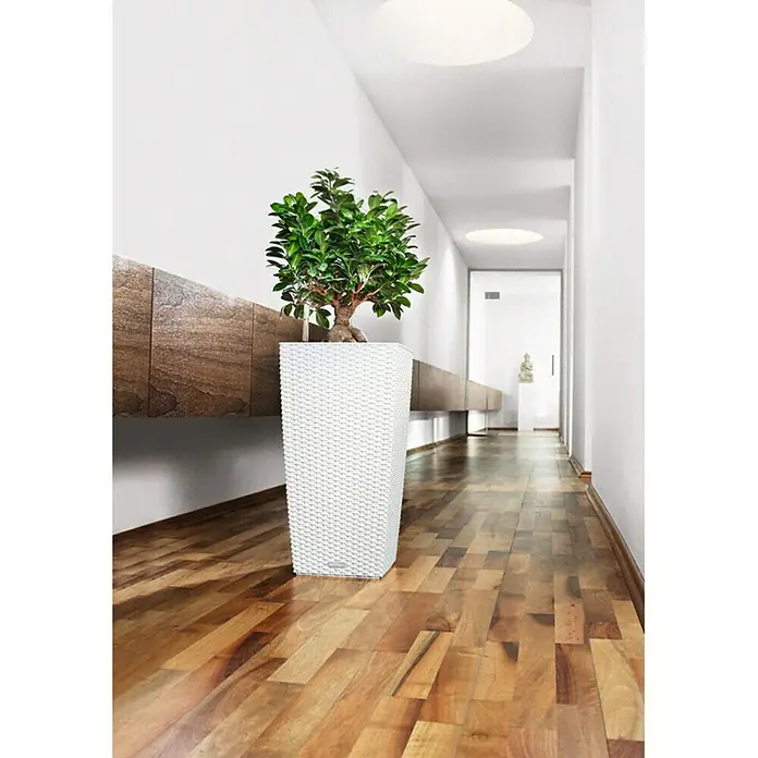Lechuza Cottage Pflanzsäule eckig Cubico - Außenmaß (L x B x H): 30 x 30 x 56 cm, Kunststoff, Weiß - Stimmungsaufnahme