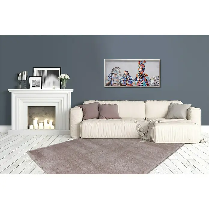 Kurzflorteppich Softtouch - Beige, 170 x 120 cm, 100 % Polypropylen (Flor) - Stimmungsaufnahme